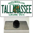 Tallahassee Florida Novelty Metal Hat Pin