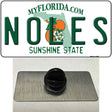 Noles Florida Novelty Metal Hat Pin