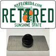 Retired Florida Novelty Metal Hat Pin