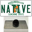 Native Florida Novelty Metal Hat Pin