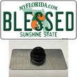 Blessed Florida Novelty Metal Hat Pin