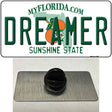 Dreamer Florida Novelty Metal Hat Pin