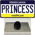 Princess Pennsylvania State Novelty Metal Hat Pin