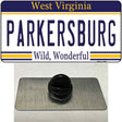 Parkersburg West Virginia Novelty Metal Hat Pin