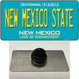 New Mexico State Teal Novelty Metal Hat Pin