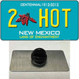 2 Hot New Mexico Novelty Metal Hat Pin