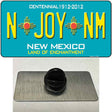 N Joy NM New Mexico Novelty Metal Hat Pin