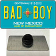 Bad Boy New Mexico Novelty Metal Hat Pin