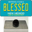 Blessed New Mexico Novelty Metal Hat Pin