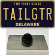 Tailgtr Delaware Novelty Metal Hat Pin