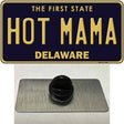 Hot Mama Delaware Novelty Metal Hat Pin