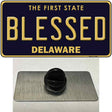 Blessed Delaware Novelty Metal Hat Pin