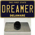 Dreamer Delaware Novelty Metal Hat Pin