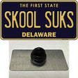 Skool Suks Delaware Novelty Metal Hat Pin