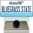 Bluegrass State Kentucky Novelty Metal Hat Pin