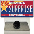 Arizona Centennial Surprise Novelty Metal Hat Pin