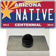 Arizona Centennial Native Novelty Metal Hat Pin