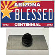 Arizona Centennial Blessed Novelty Metal Hat Pin