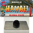 Hawaii State Novelty Metal Hat Pin