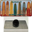 Aloha State Hawaii Blank State Novelty Metal Hat Pin