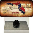 Southern Pride Florida Novelty Metal Hat Pin