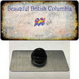 British Columbia Rusty Blank Novelty Metal Hat Pin