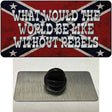 What Would The World Novelty Metal Hat Pin