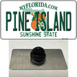 Pine Island Novelty Metal Hat Pin