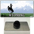 Wyoming State Novelty Metal Hat Pin