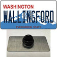 Washington Wallingford Novelty Metal Hat Pin