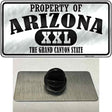 Property Of Arizona Novelty Metal Hat Pin