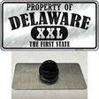 Property Of Delaware Novelty Metal Hat Pin