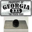 Property Of Georgia Novelty Metal Hat Pin