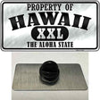 Property Of Hawaii Novelty Metal Hat Pin