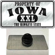 Property Of Iowa Novelty Metal Hat Pin