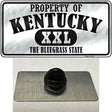 Property Of Kentucky Novelty Metal Hat Pin