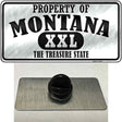 Property Of Montana Novelty Metal Hat Pin