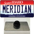 Meridian Idaho Novelty Metal Hat Pin