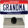 Grandma Idaho Novelty Metal Hat Pin