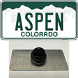 Aspen Colorado Novelty Metal Hat Pin