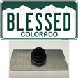 Blessed Colorado Novelty Metal Hat Pin