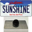 Sunshine South Dakota Novelty Metal Hat Pin