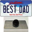 Best Dad South Dakota Novelty Metal Hat Pin