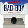 Bad Boy South Dakota Novelty Metal Hat Pin