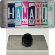 Hawaii License Plate Art Novelty Metal Hat Pin