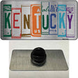 Kentucky License Plate Art Novelty Metal Hat Pin