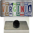 Virginia License Plate Art Novelty Metal Hat Pin