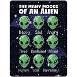 The Many Moods of an Alien Metal Novelty Parking Sign P-4451