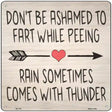 Fart While Peeing Rain With Thunder Novelty Metal Square Sign 12" (SQ)