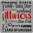 Illinois Motto Novelty Metal Square Sign 12" (SQ)